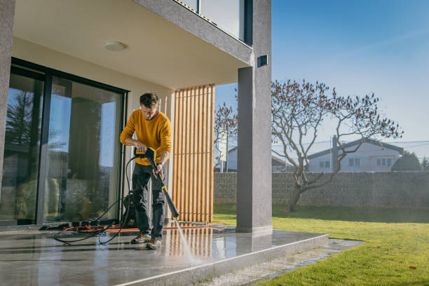 Best Driveway Cleaning and Restoration in Howard Lake, MN